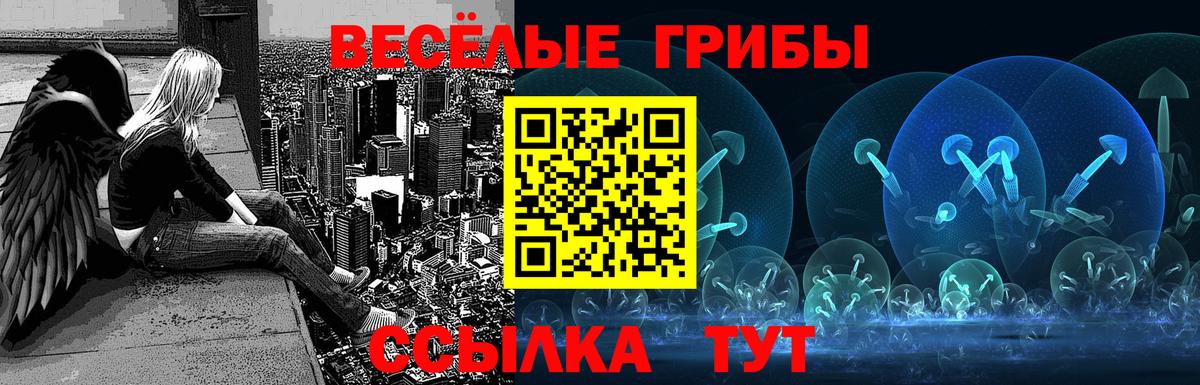 Псилоцибиновые грибы GOLDEN TEACHER  Вход с VPN  Калач-на-Дону 